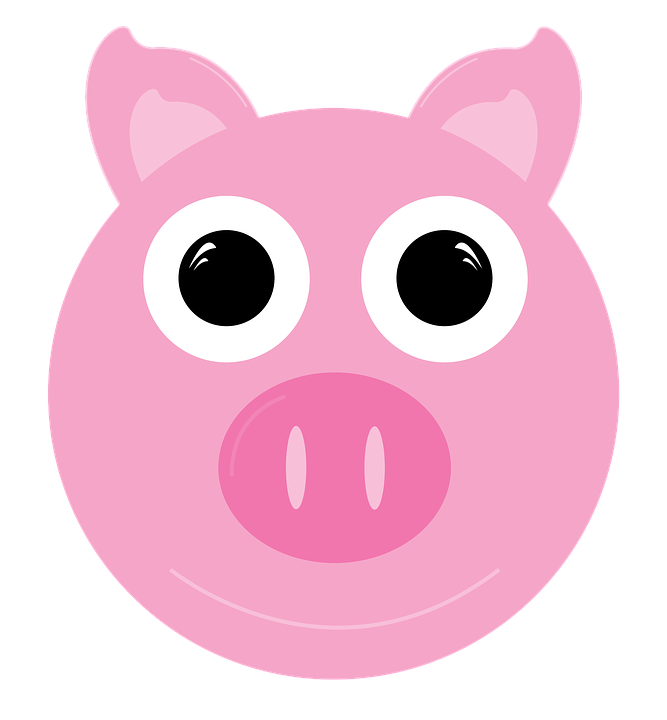 Cute Cartoon Pig Face PNG