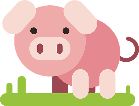 Cute Cartoon Pig Vector PNG