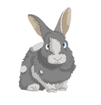 Cute Cartoon Rabbit PNG