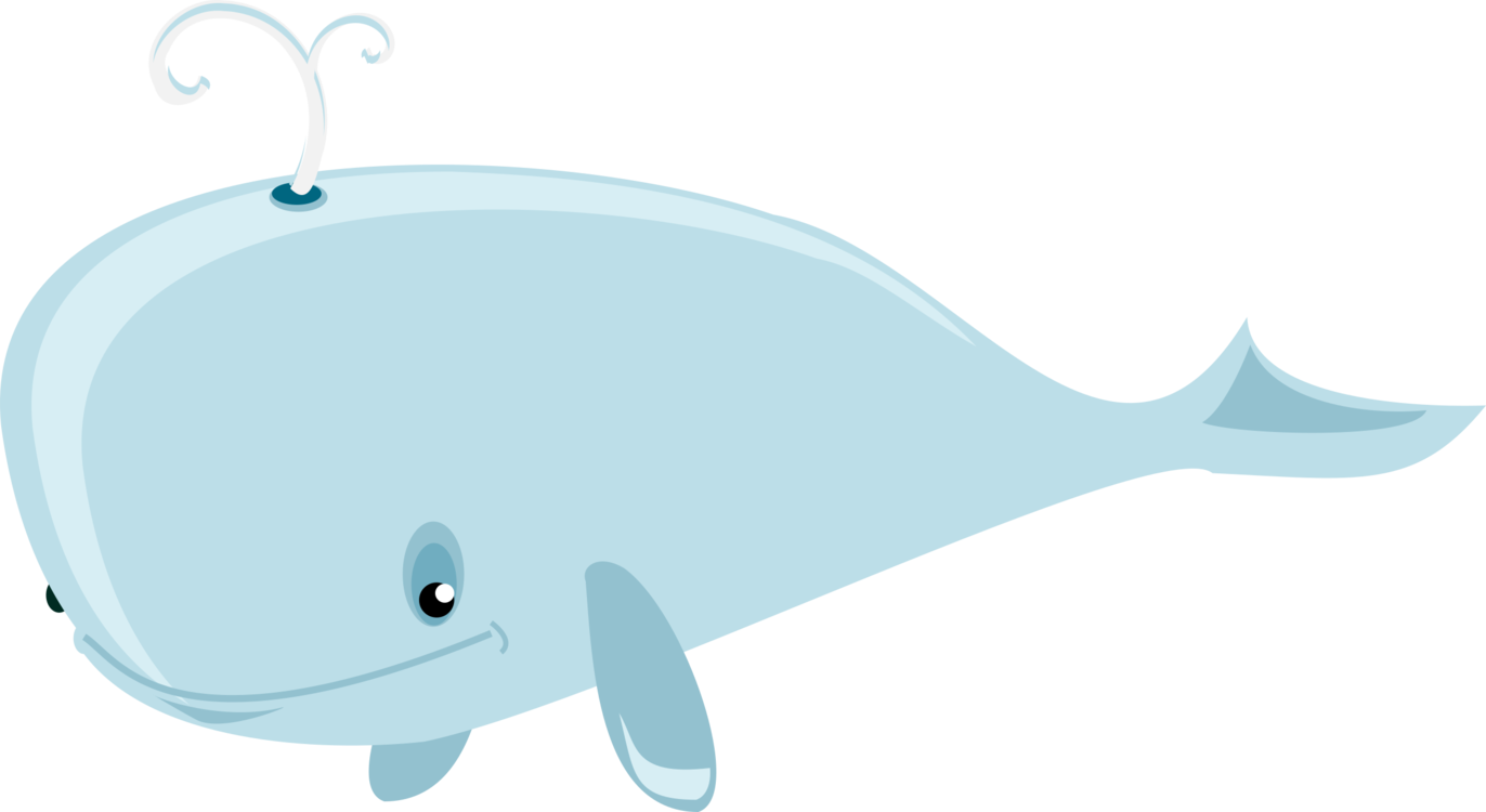 Cute Cartoon Whale PNG
