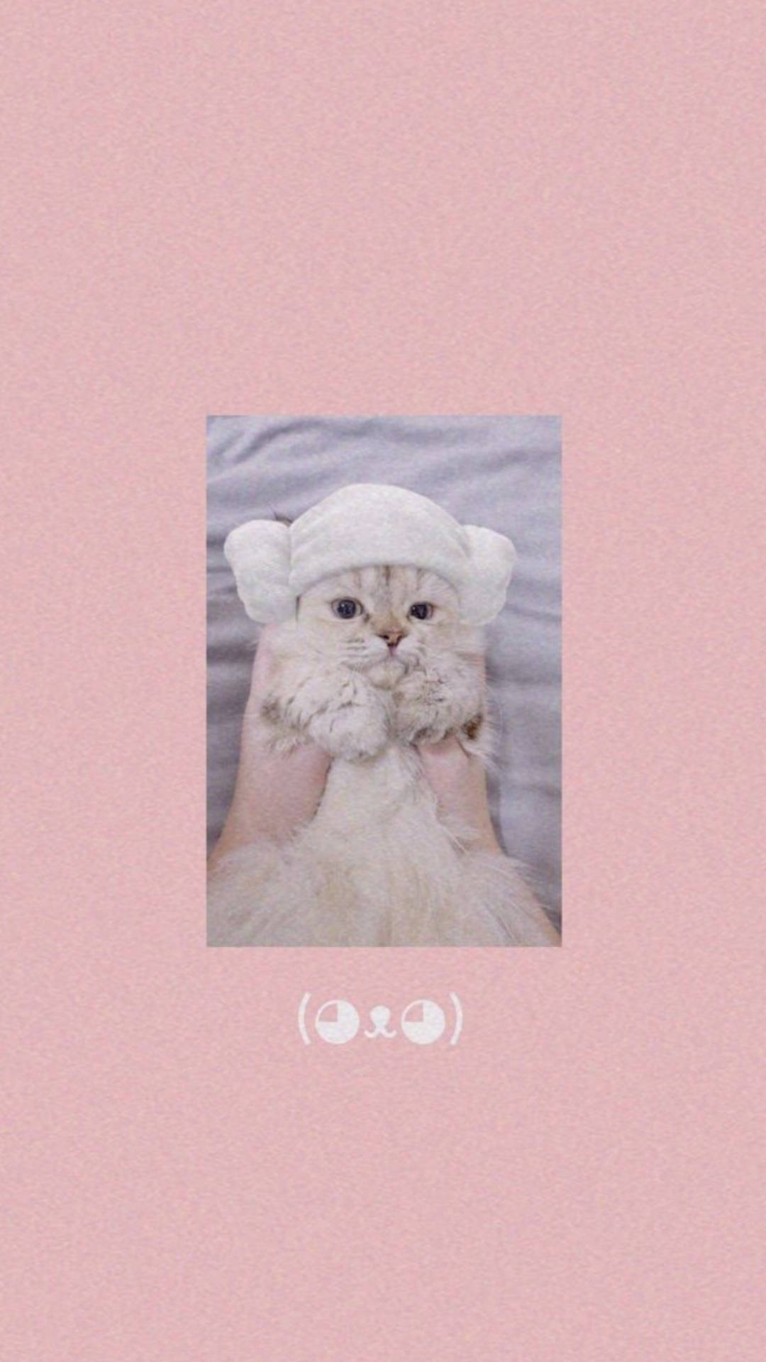 Cute Cat Aesthetic Lamb Head Towel
