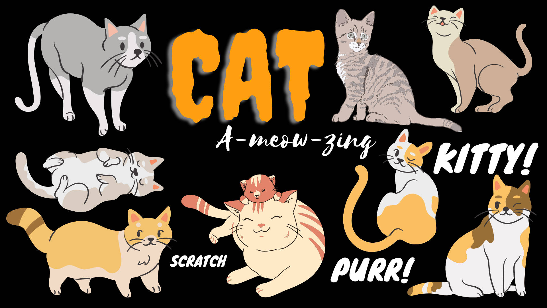 Cute Cat Aesthetic Stickers Wallpaper