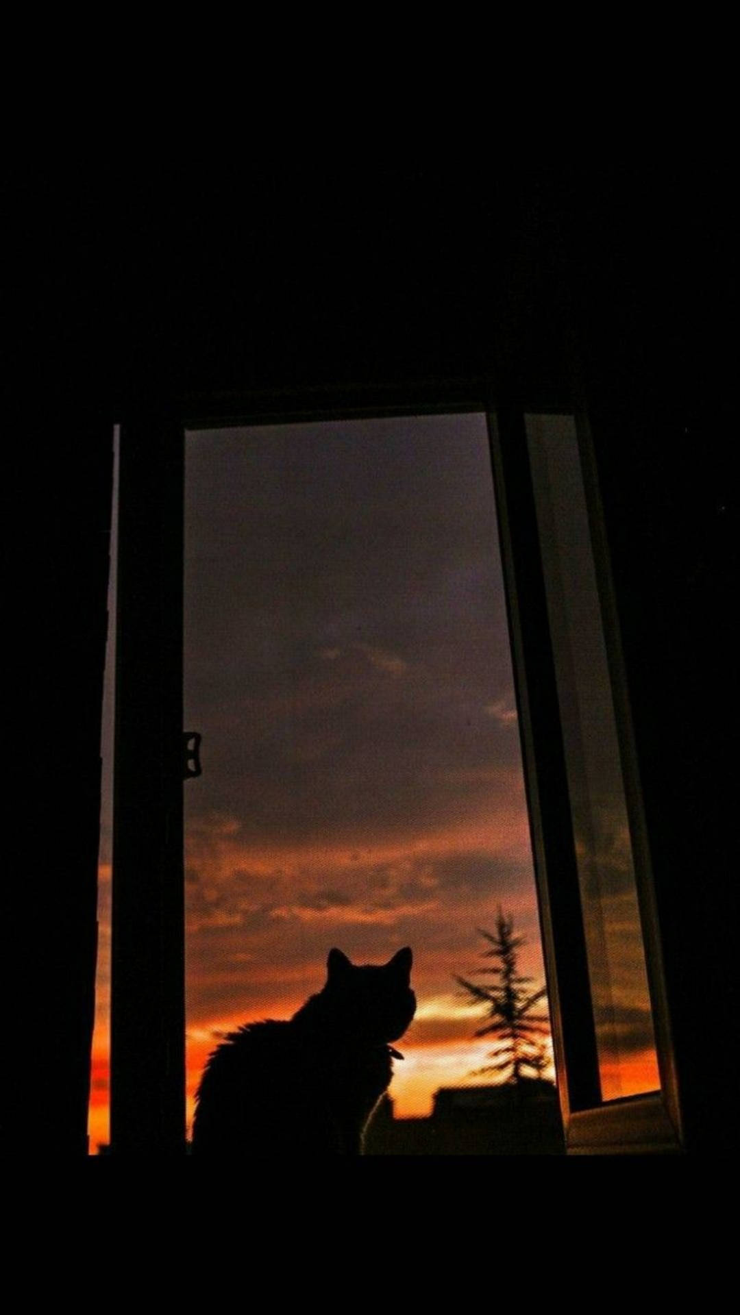 Cute Cat Aesthetic Twilight Wallpaper