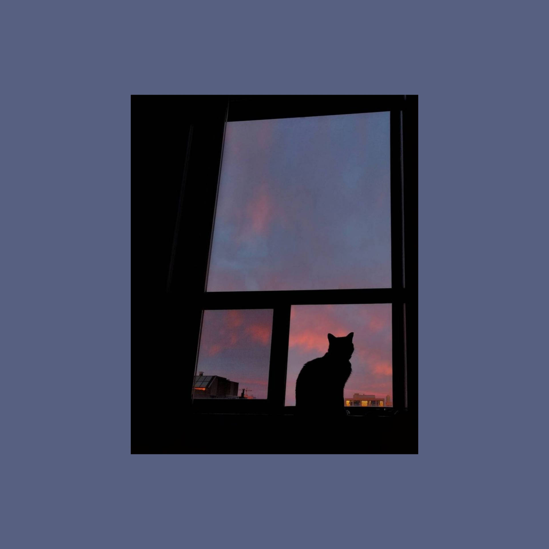 Cute Cat Aesthetic Window View Background