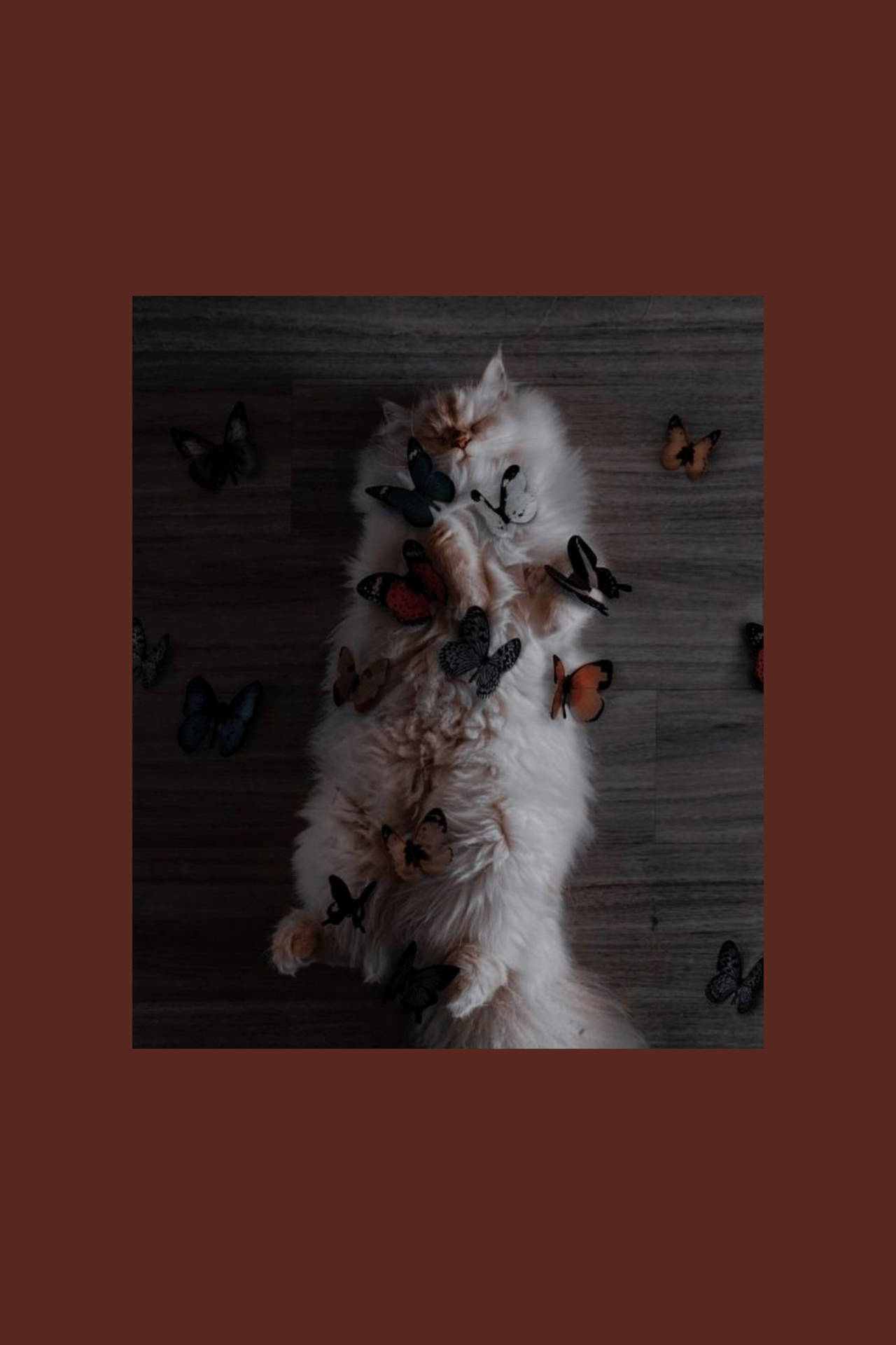 Cute Cat Aesthetic With Butterflies Wallpaper