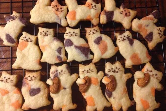Cute Cat Cookies Wallpaper