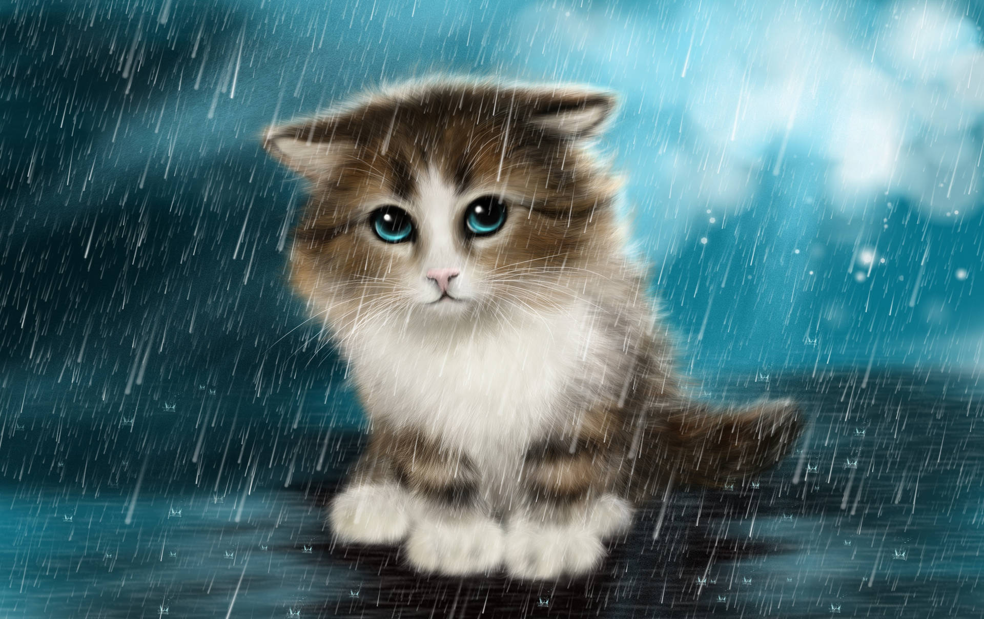 Cute Cat In The Rain