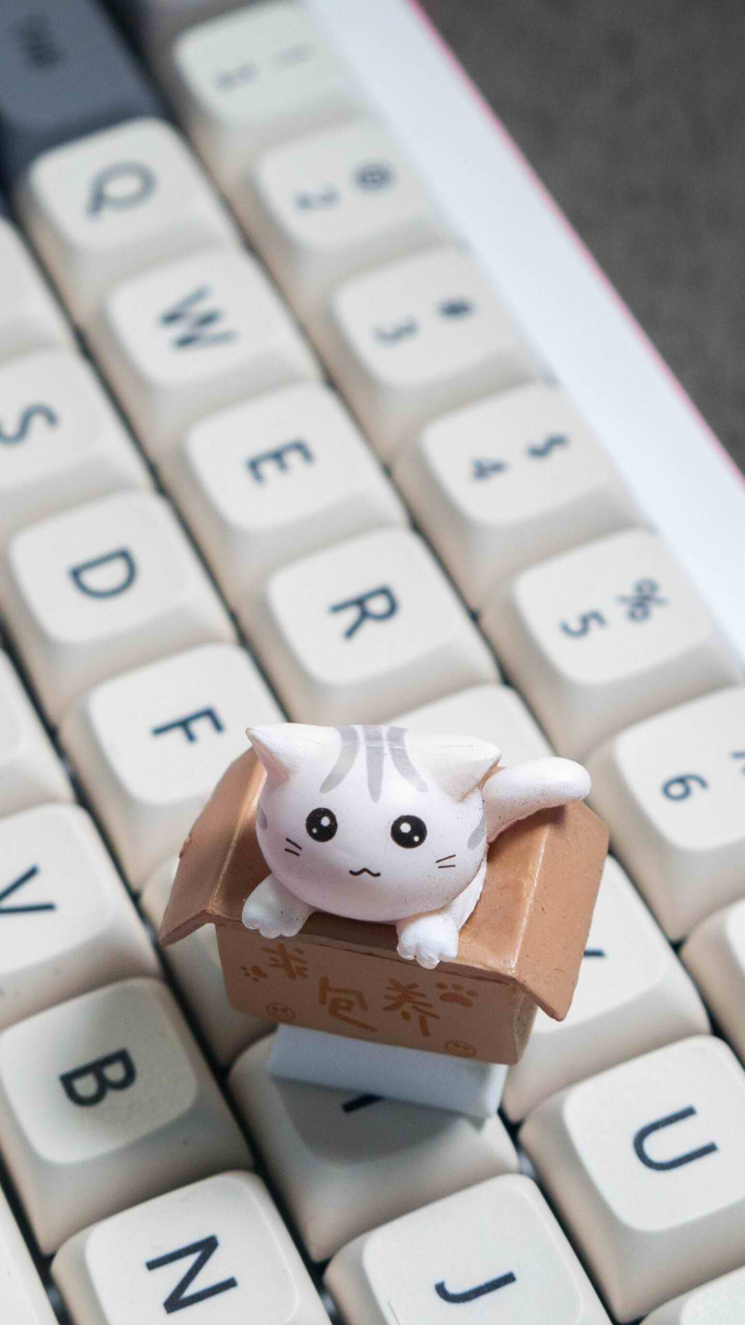 Cute Cat Key Cap Aesthetic Phone Wallpaper