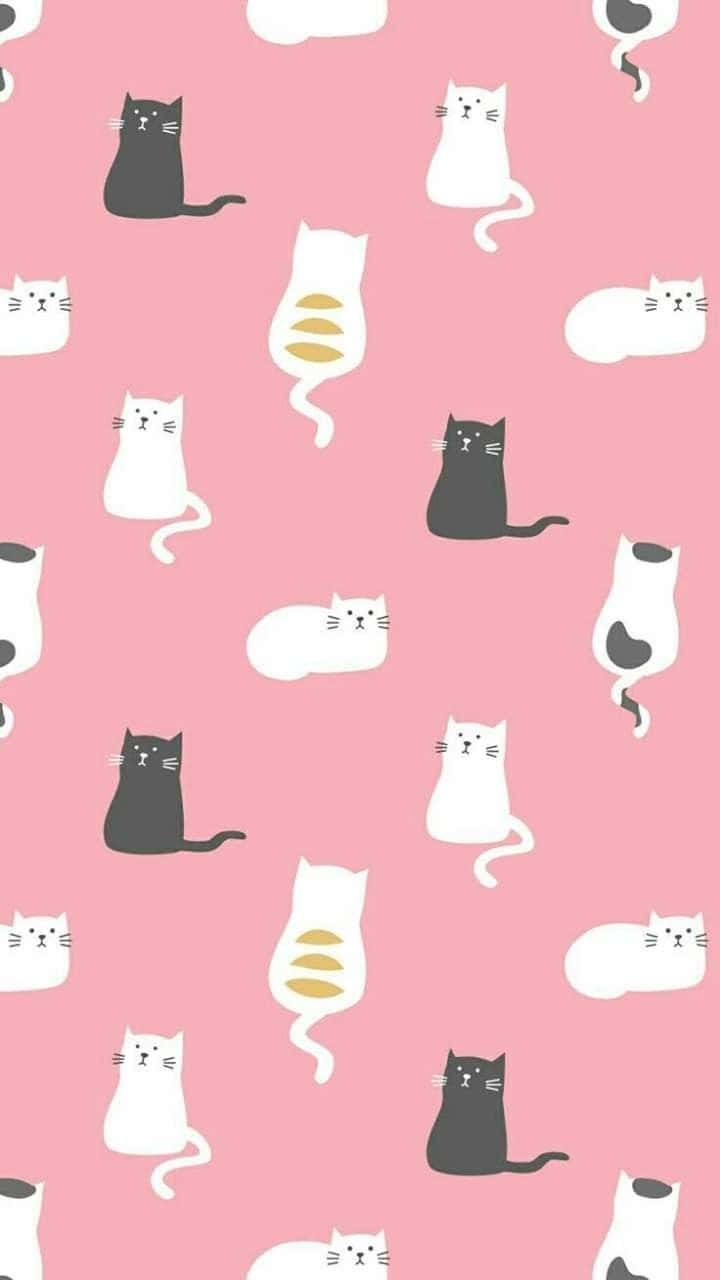 Et sødt kat mønster til alle katteelskere Wallpaper