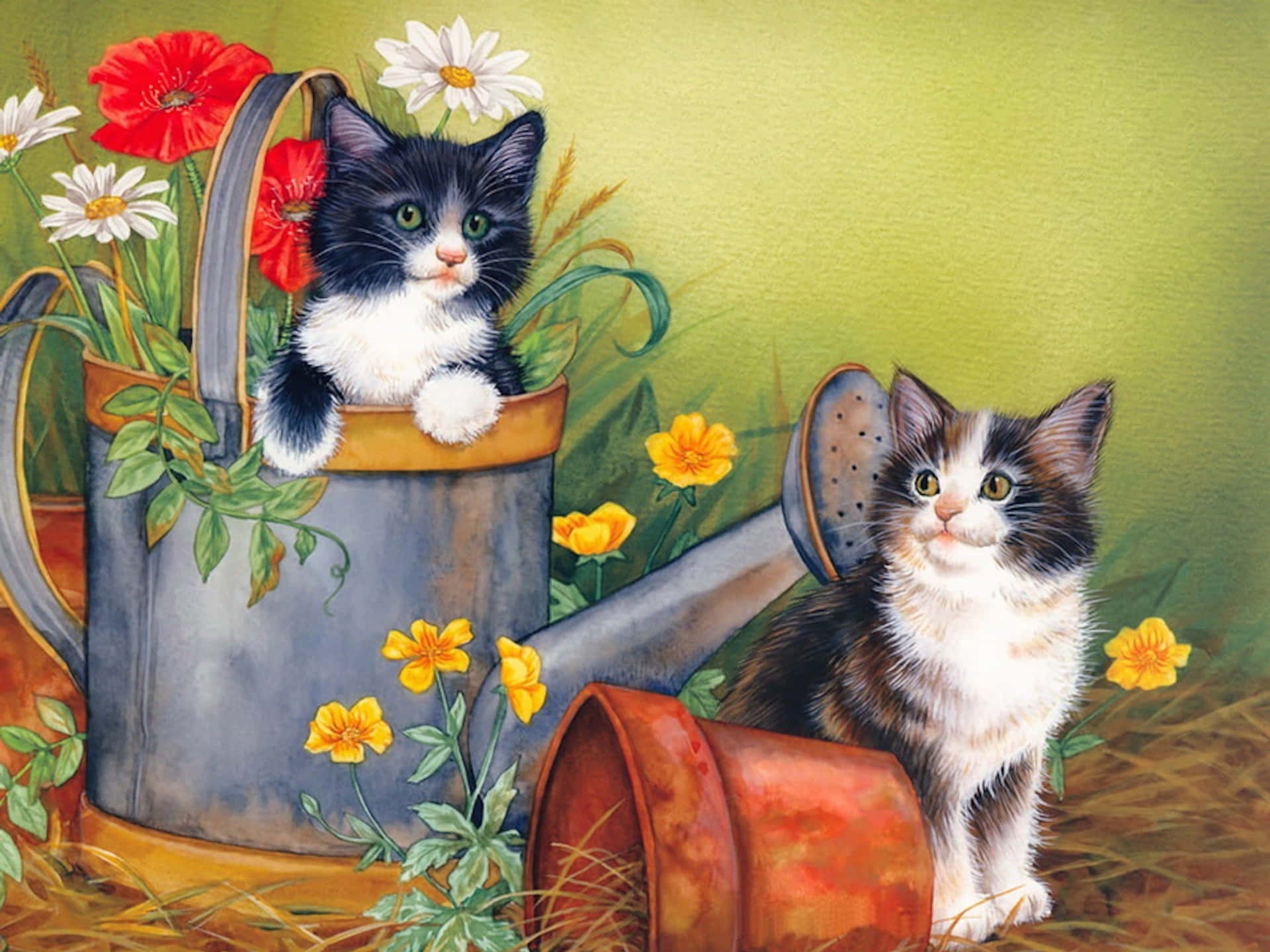 Sødemalerier Af Katte.