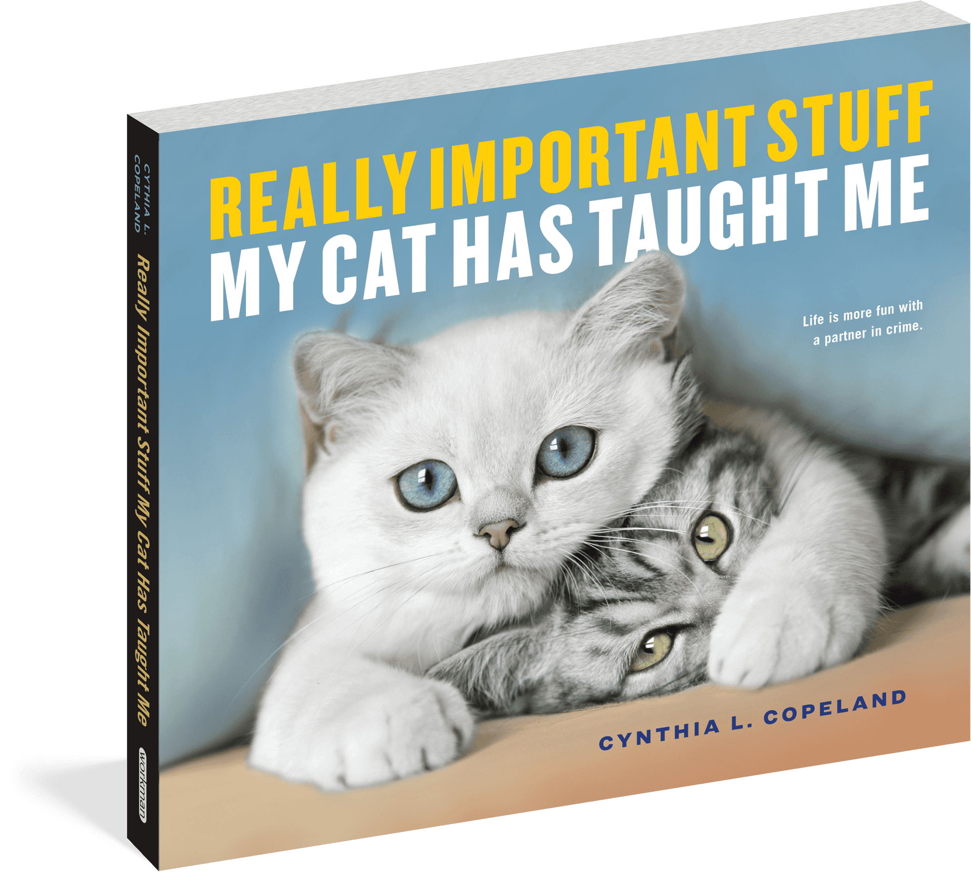 Cute Cats Book Cover PNG