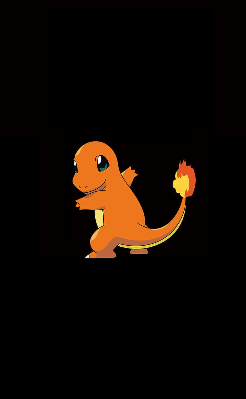"This Cute Charmander is Just Ready to Play!" Wallpaper