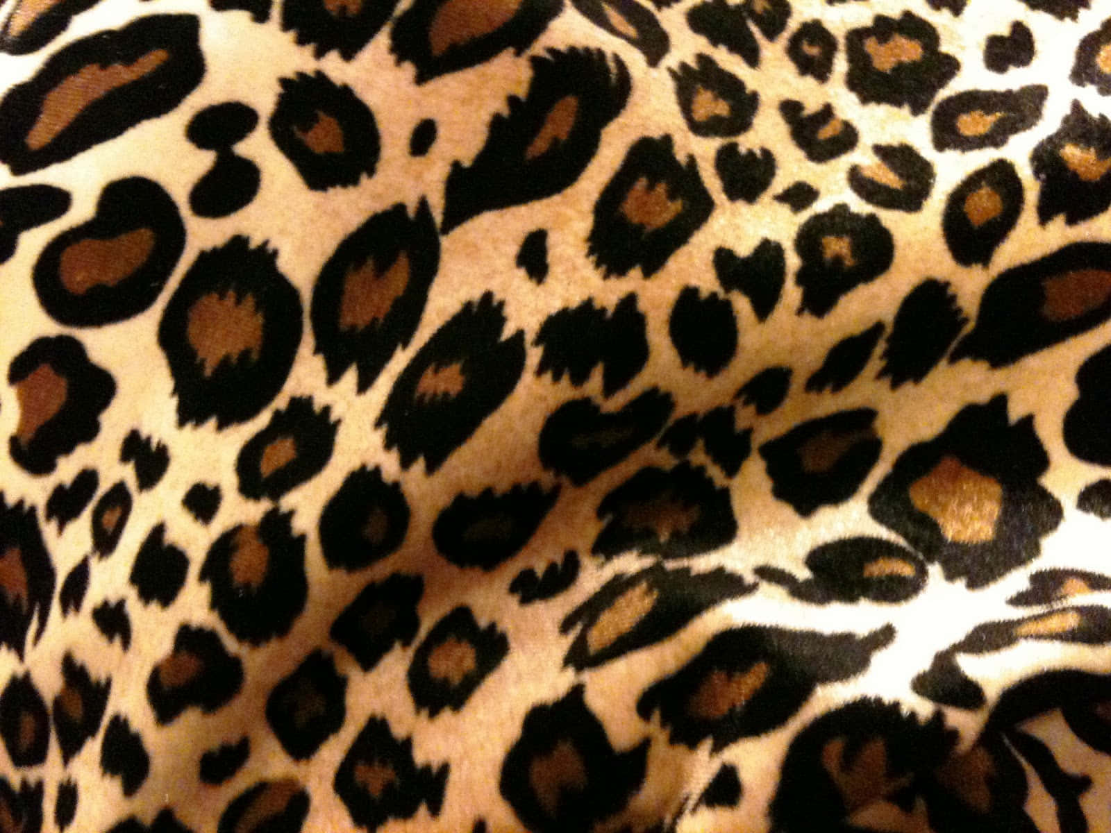 Sød Cheetah Print Mønster I Dyne Blå Wallpaper