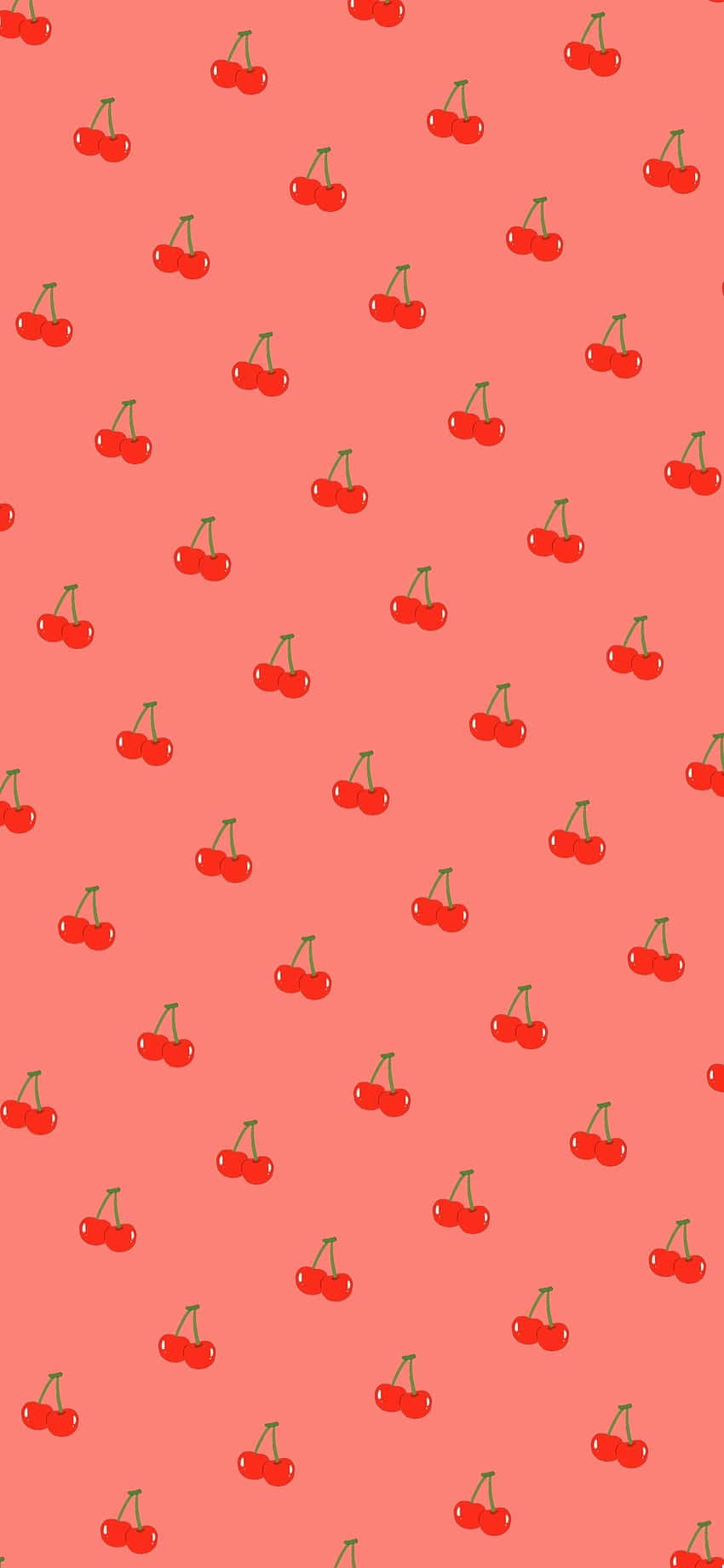 Søde kirsebær med glinsende rød overflade Wallpaper