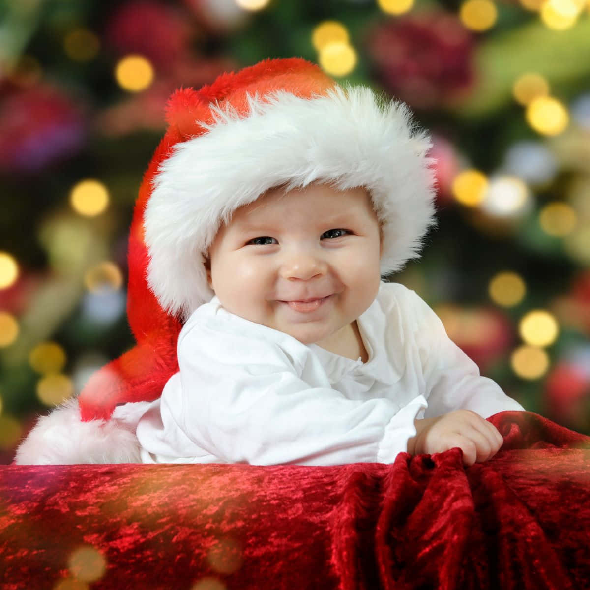 Cute Christmas Pictures
