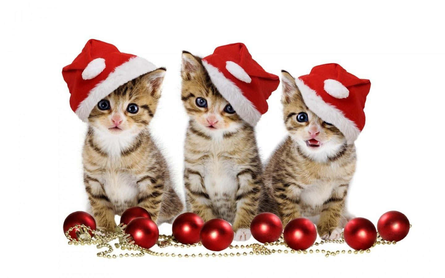 Cute Christmas Pictures