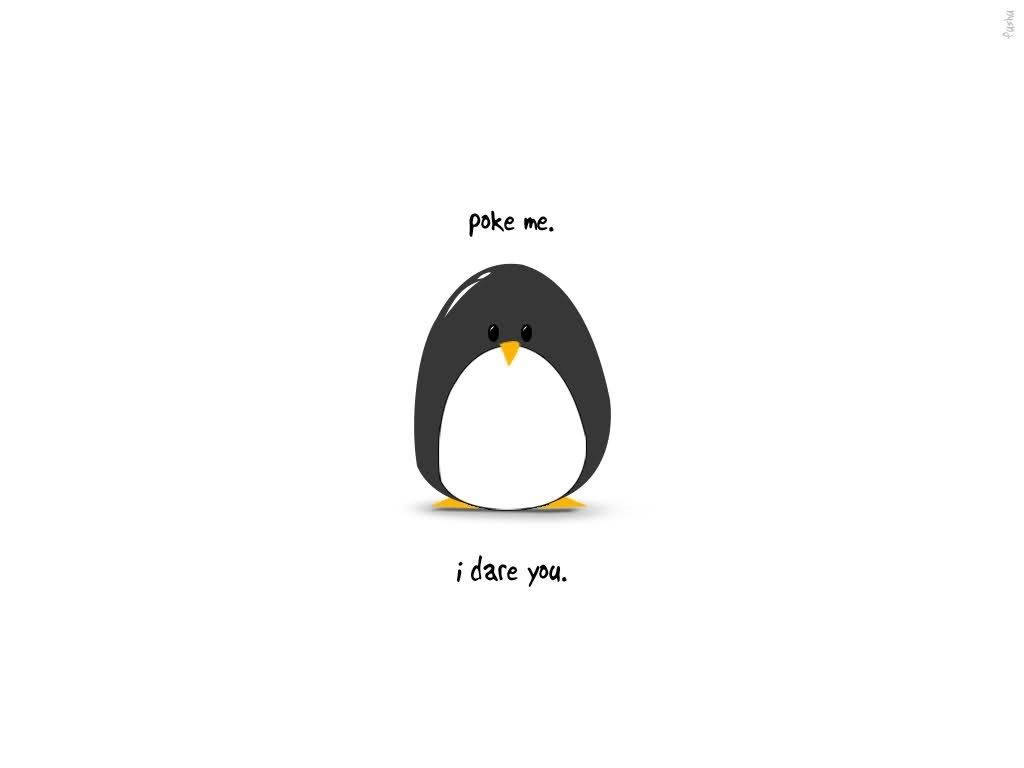 Cute Chubby Penguin Art Wallpaper
