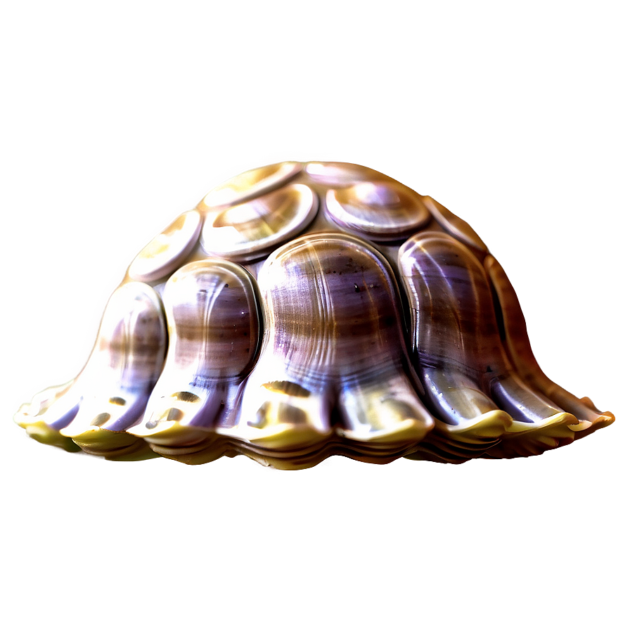 Cute Clam Emoji Png Jni87 PNG