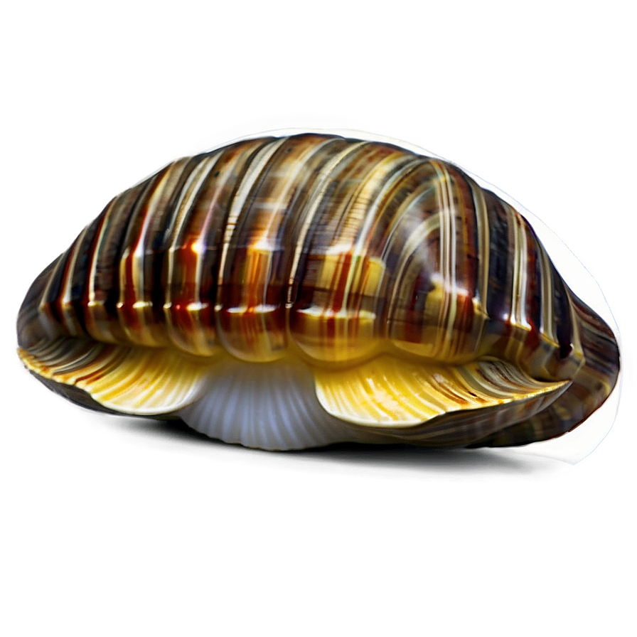 Cute Clam Emoji Png Neh75 PNG