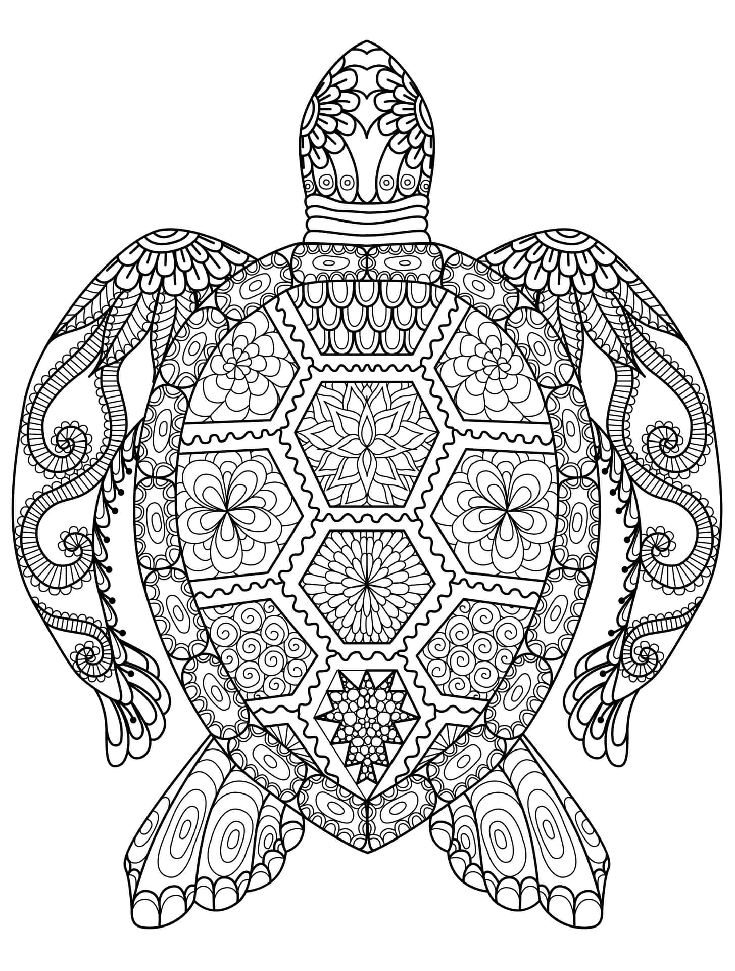 A Turtle Coloring Page With Intricate Designs
