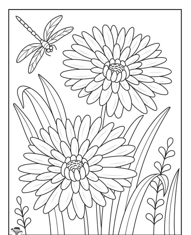 Spruce Up Your Coloring Experience With Cute, Adorable Coloring Pictures