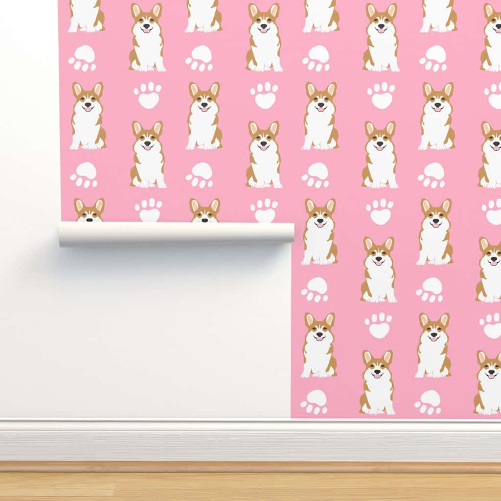 Cute Corgi Pink Wall Background