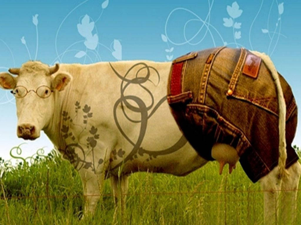 Friends don't let friends wear boring clothes - even if they are cows! Wallpaper