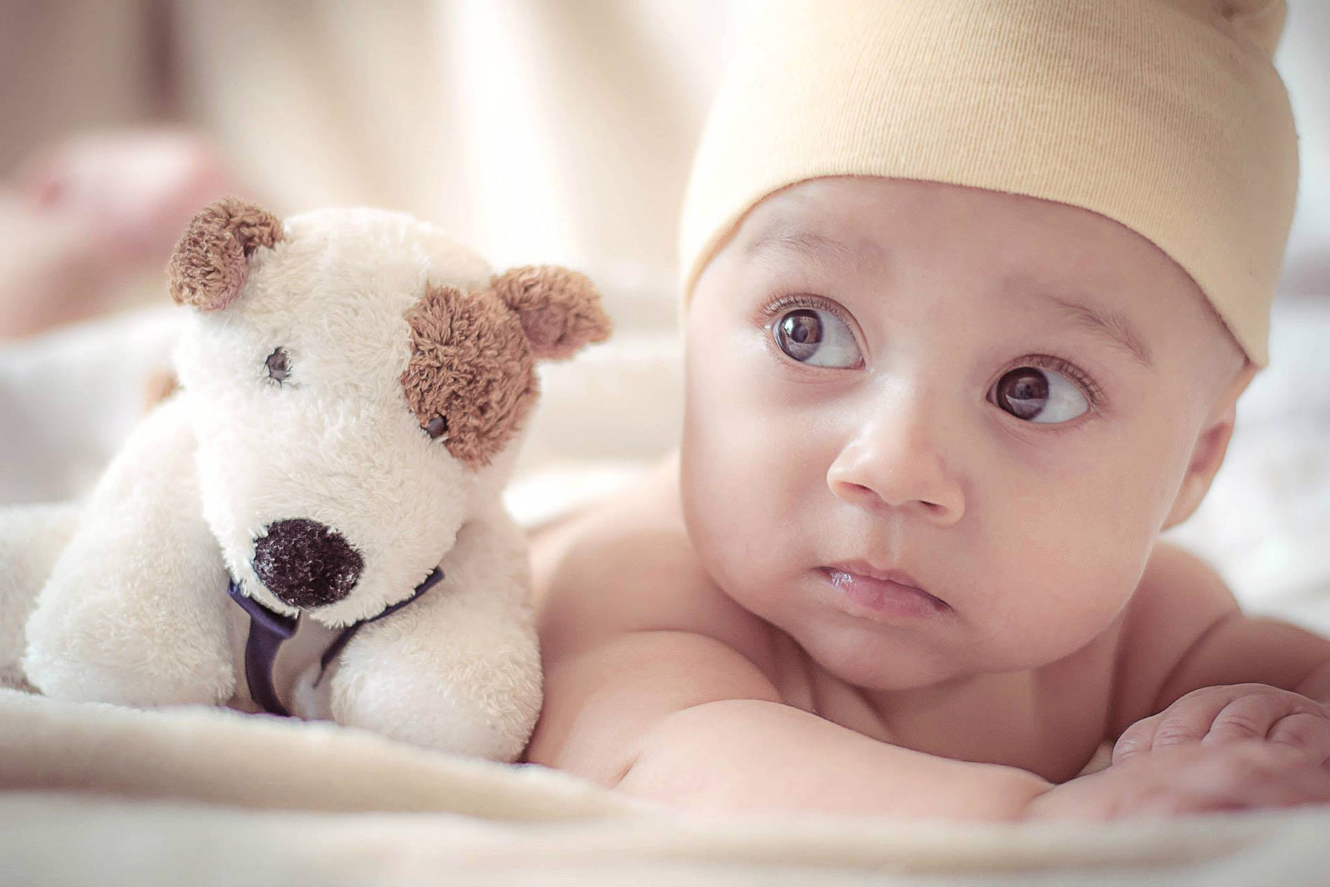 Cute Curious Baby With Stuffed Dog Wallpaper