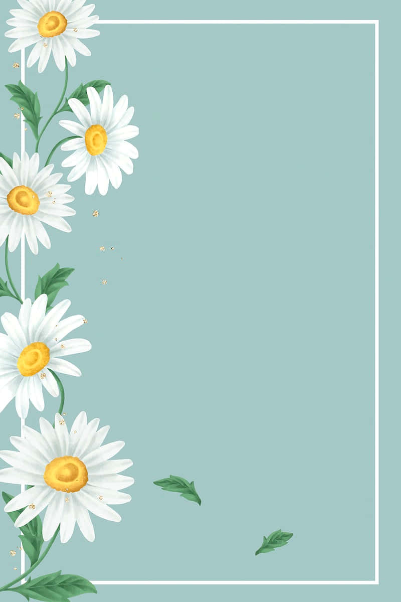 Cute Daisy Flower Frame Border Wallpaper