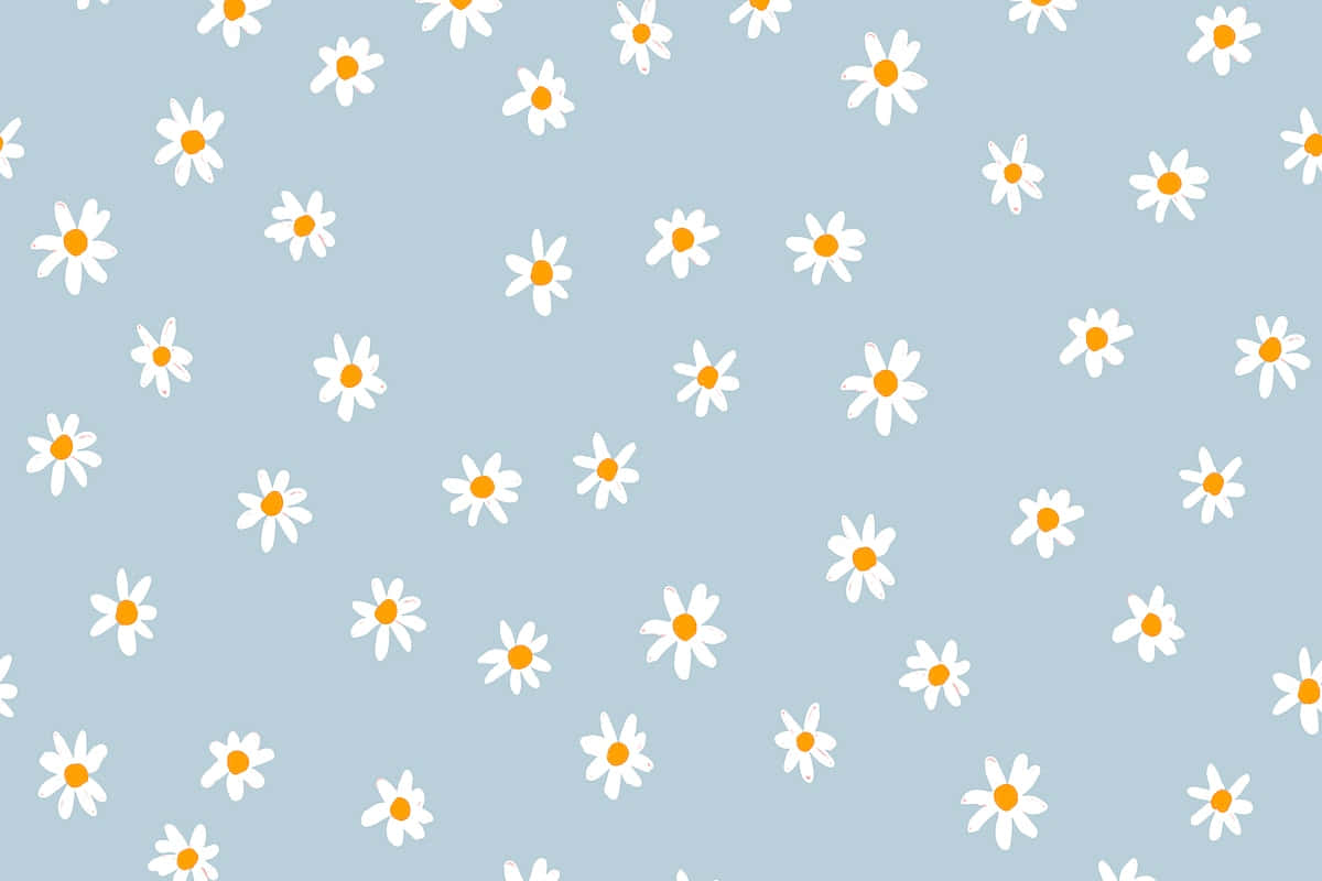 Sød Daisy Blomster Æstetisk Baggrundsmønster Wallpaper