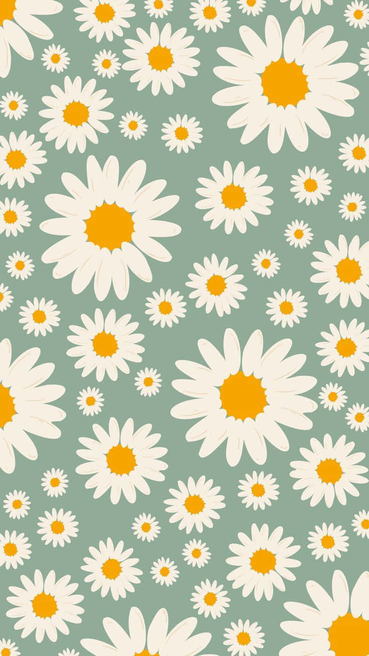 Cute Daisy Flowers Sage Green Art Wallpaper