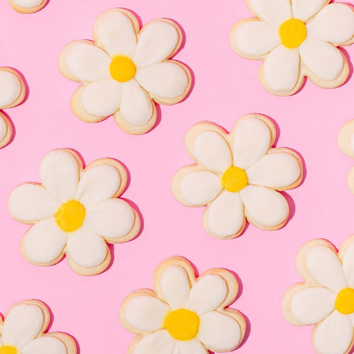 Niedlichegänseblümchen Süße Zuckergebäck Wallpaper