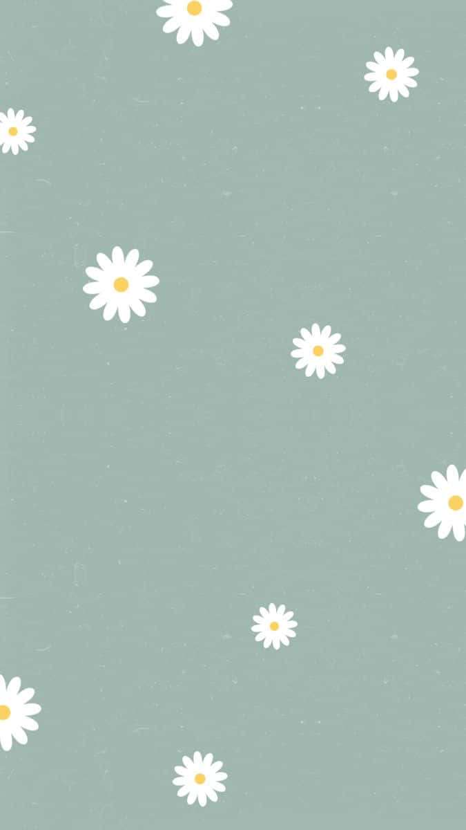 Cute Daisy White Flowers Pattern Wallpaper