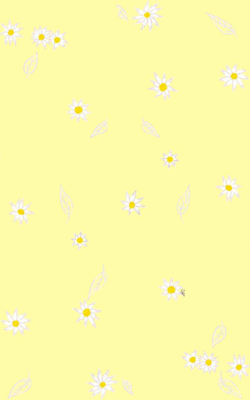 Cute Daisy Yellow Floral Print Wallpaper