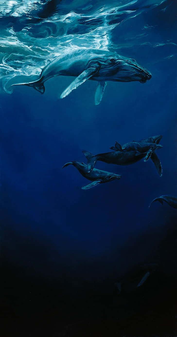 Umapintura De Uma Baleia Jubarte E Seu Filhote Papel de Parede