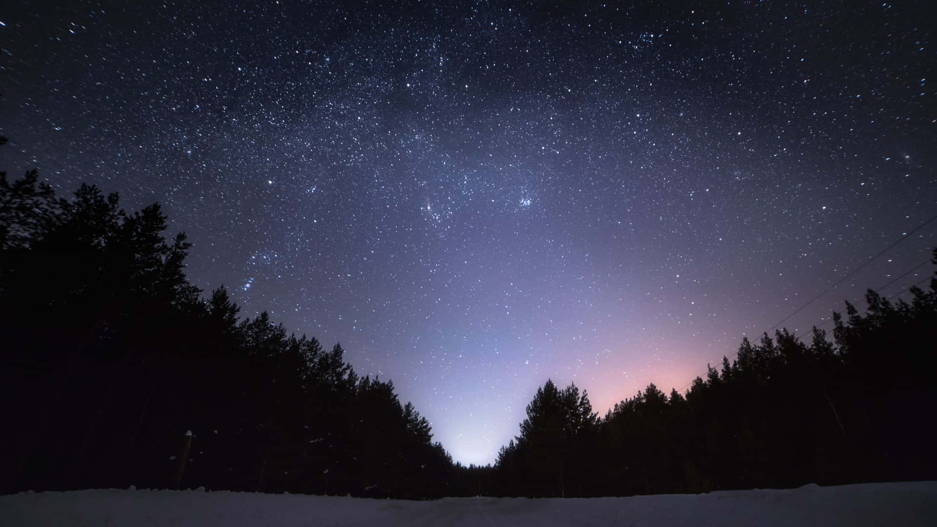 Optimeret billede - En sød flagermus Silhuet mod en stjernefyldt aften himmel Wallpaper