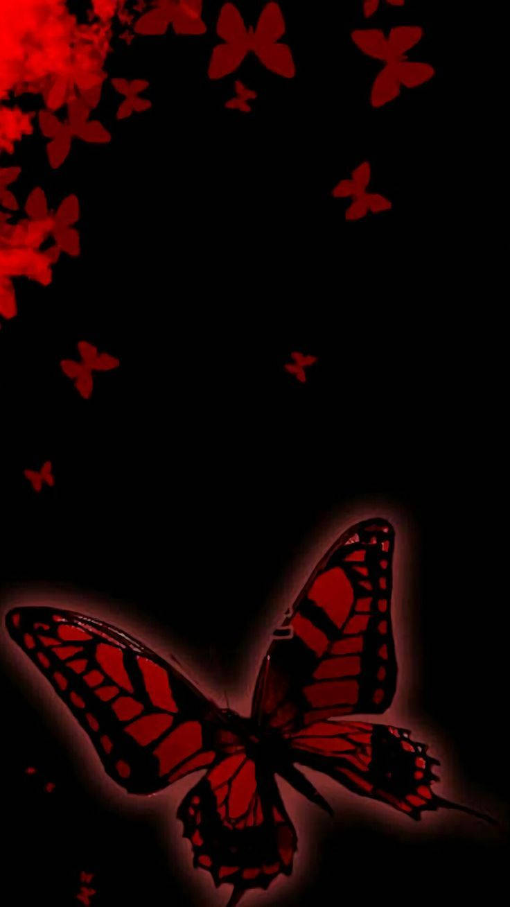 Lindomariposa Roja Oscura Y Flores Fondo de pantalla