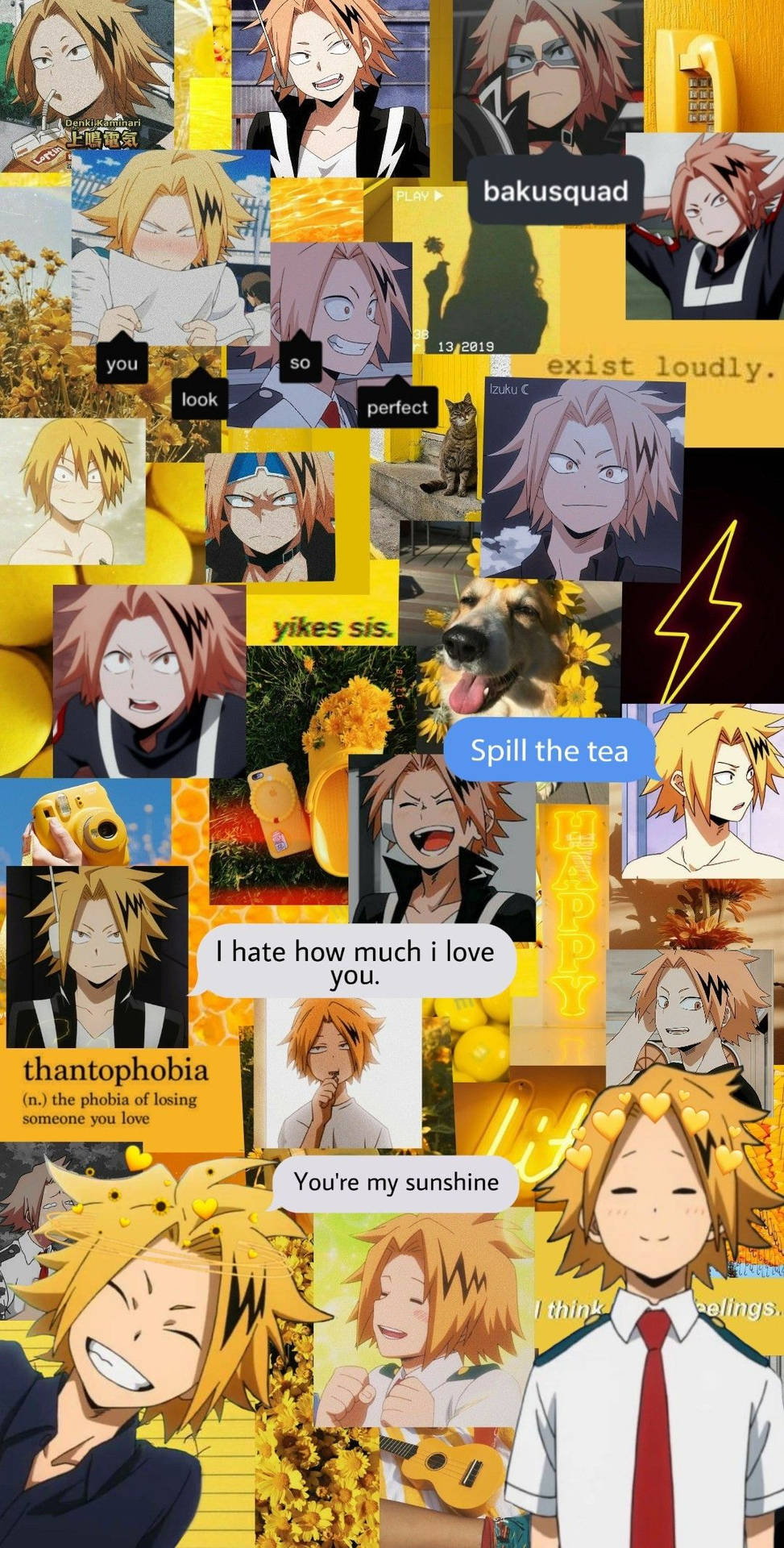 Charming and Playful - the Lovable Denki Wallpaper