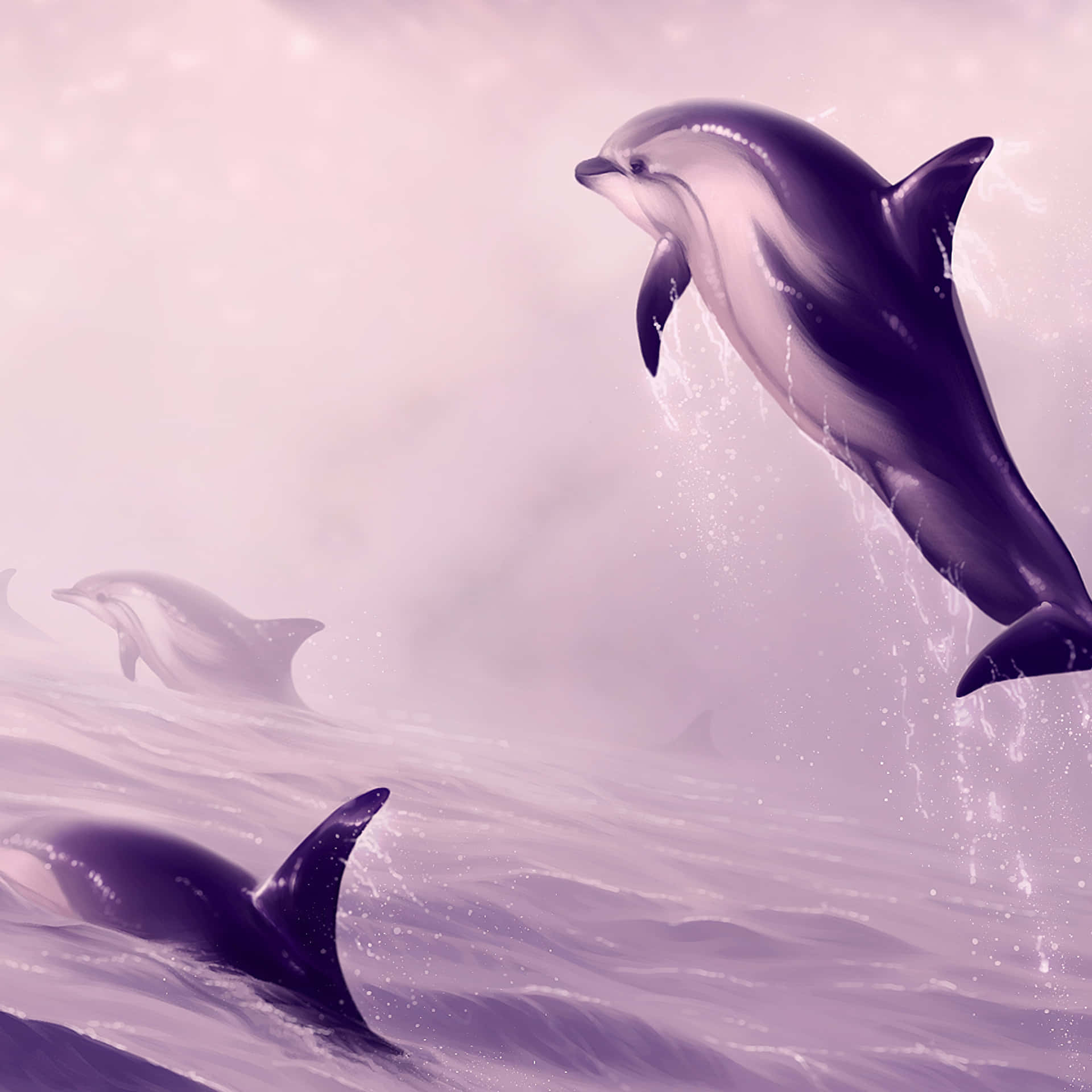 Живые обои двигающиеся картинки дельфины