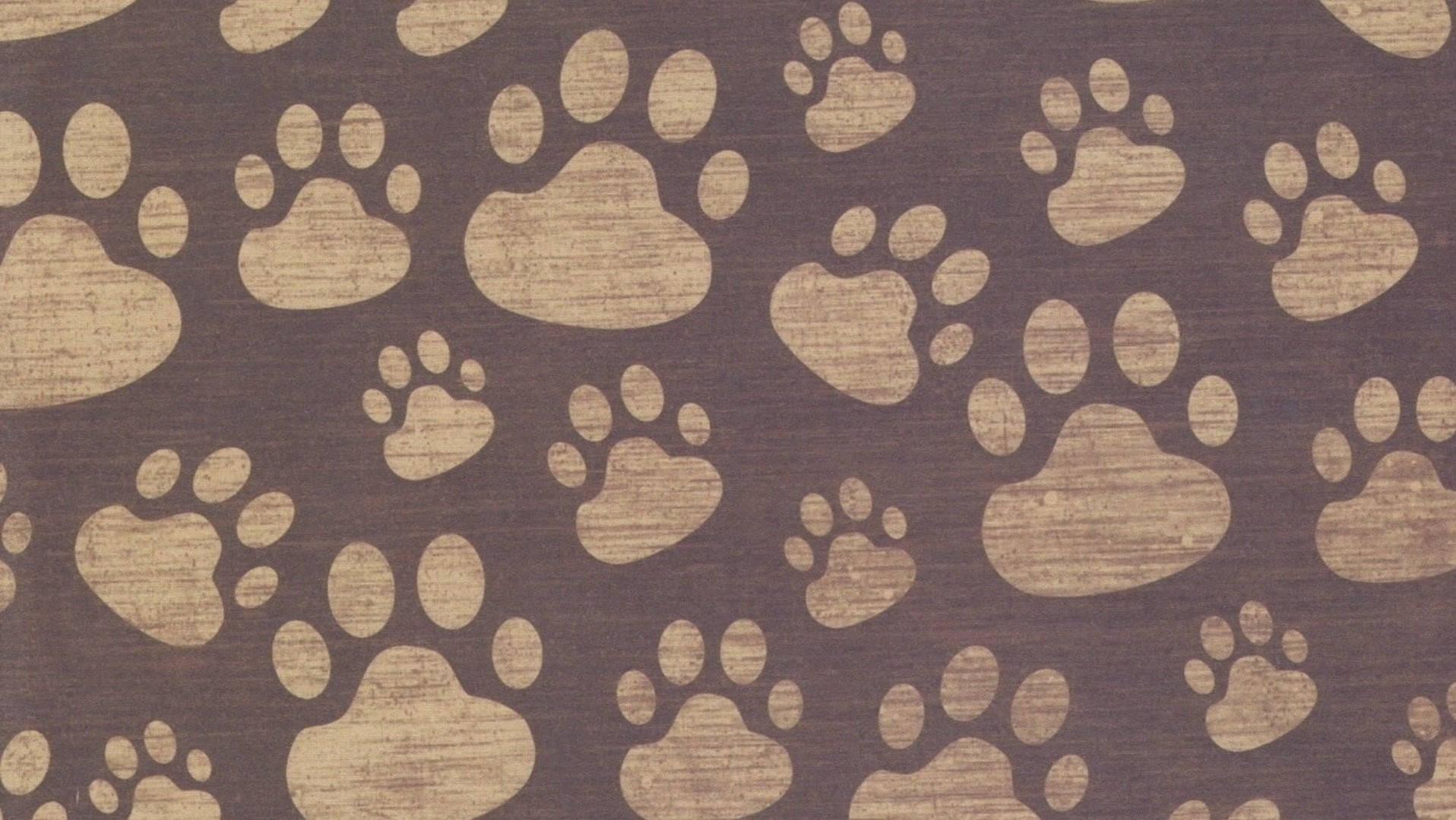 Cute Dog Paw Prints Wallpaper