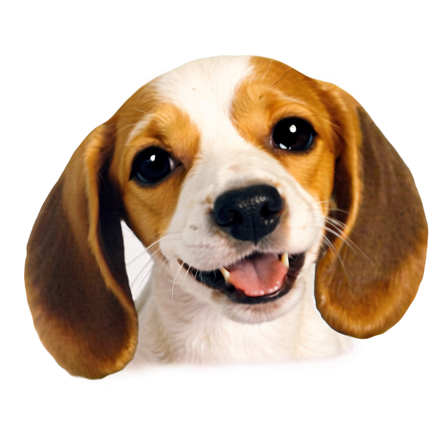 Cute Dog Transparent Png Cbu PNG