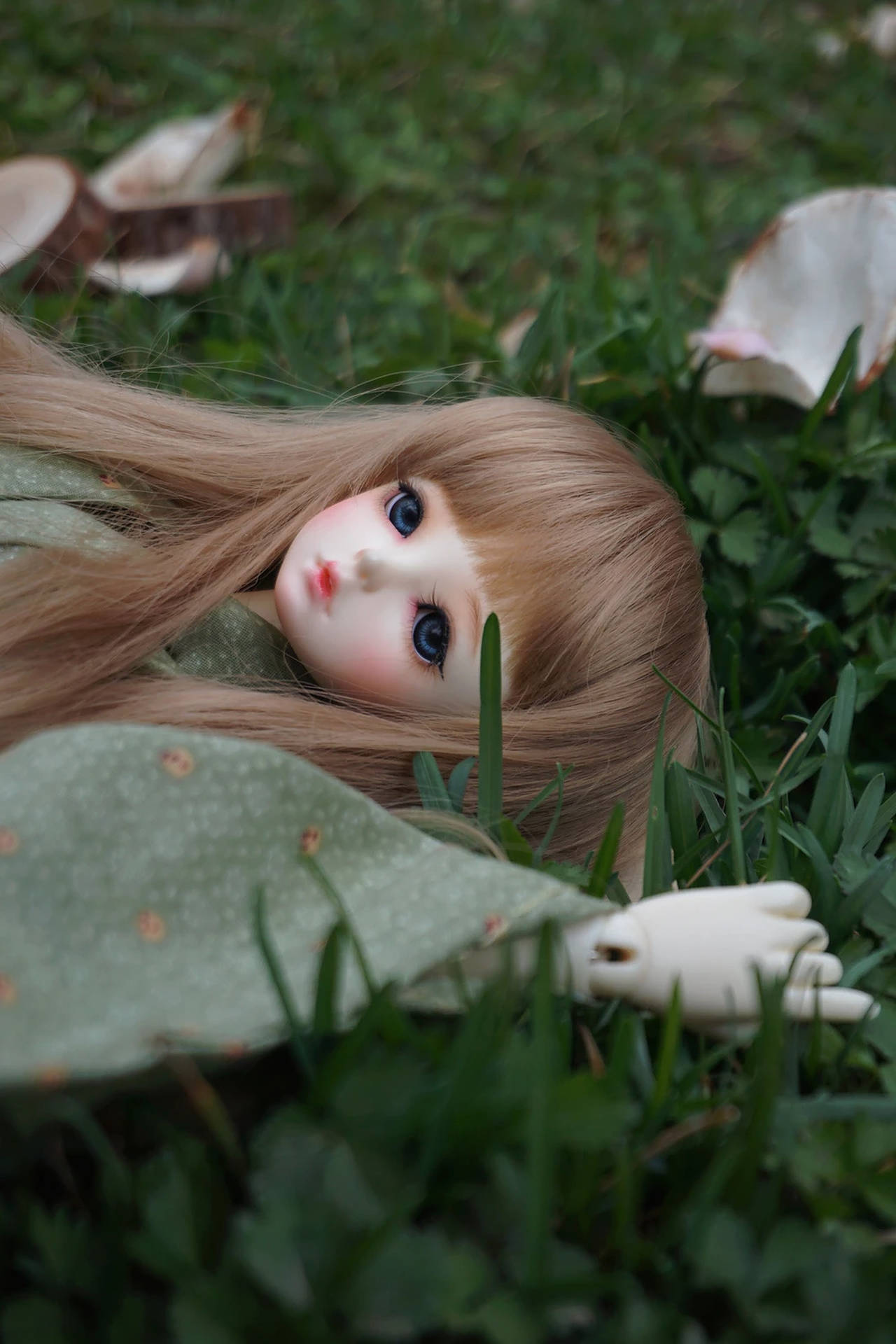 Bambola Sveglia Sull'erba Sfondo