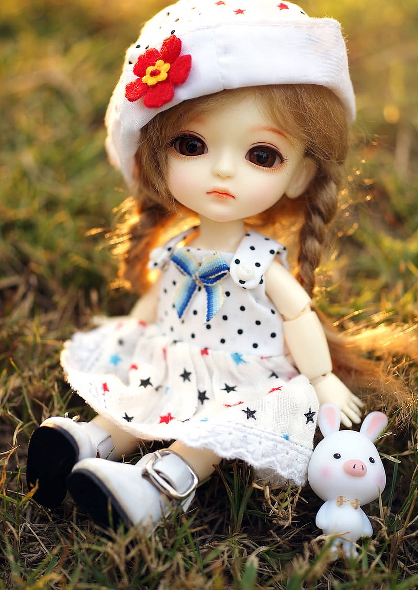 Download Cute Doll With Piggy Toy Wallpaper 