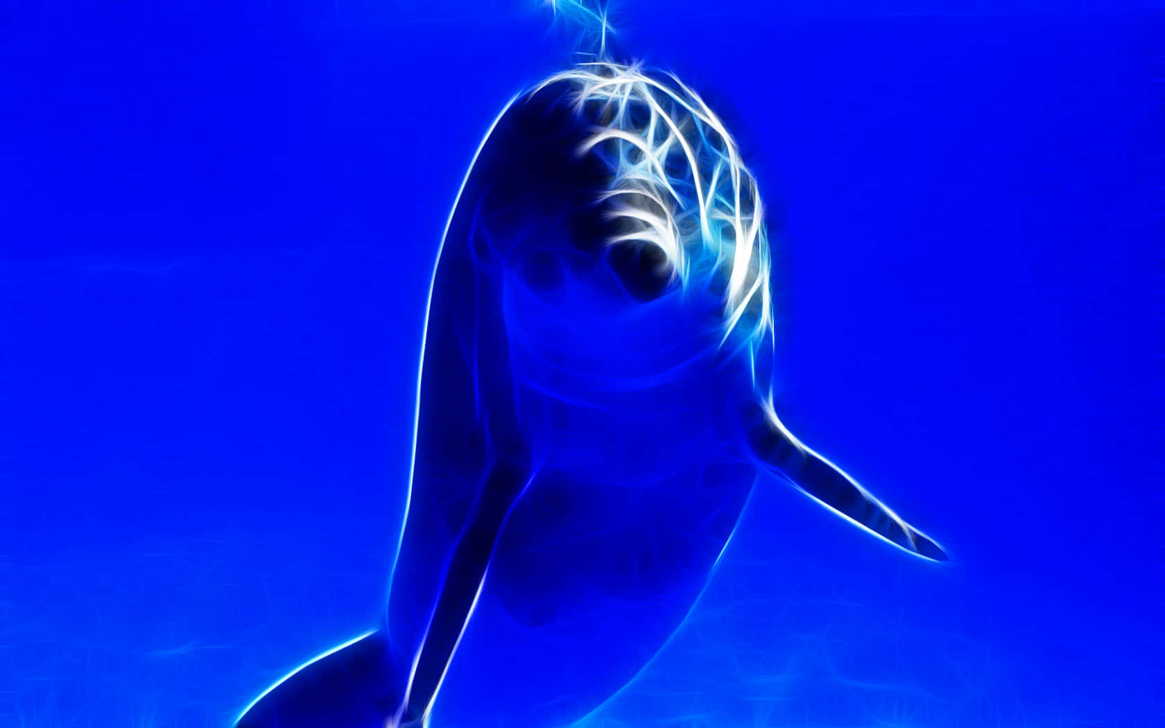 Cute Dolphin Blue Ocean Water Background Wallpaper