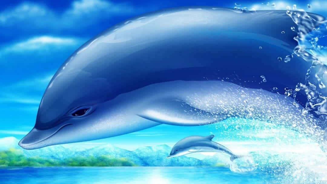 Cute Dolphin Closeup Graphic Artwork Wallpaper