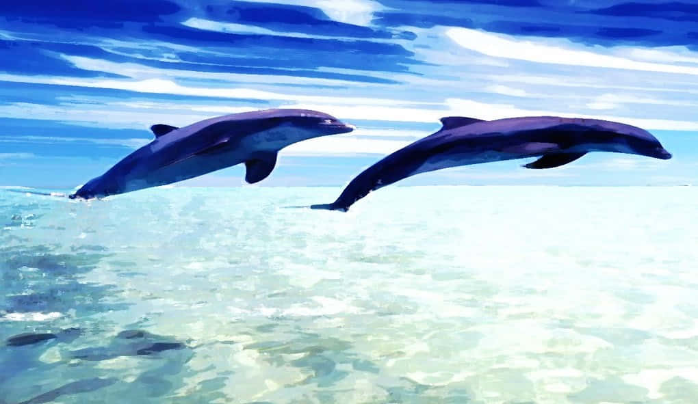 Cute Dolphin Digitally Painted Wallpaper