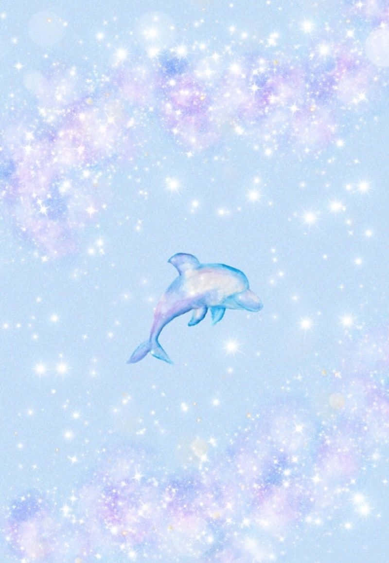 Cute Dolphin Illustration Wallpaper