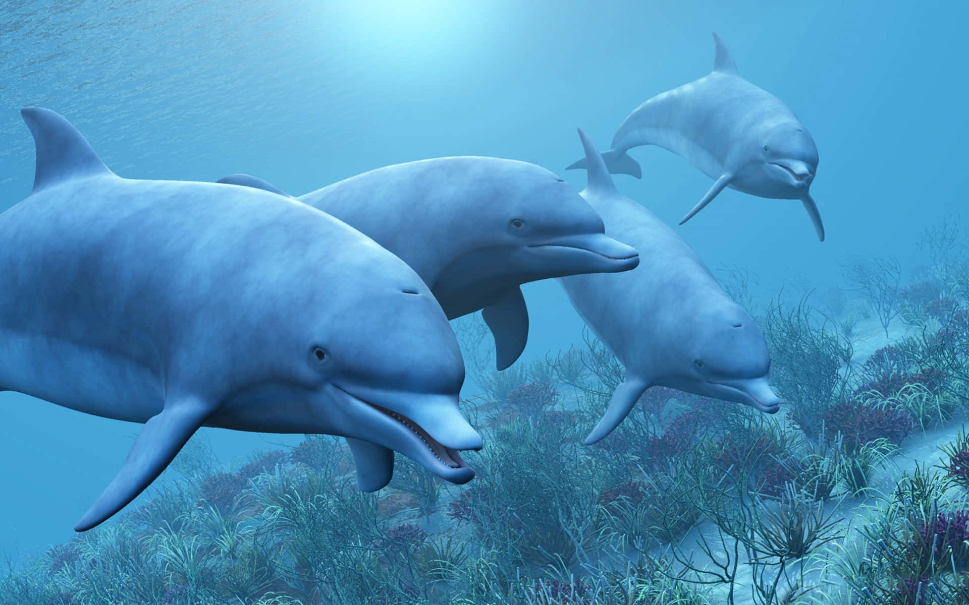 Niedlichesdelfin-tauchbild