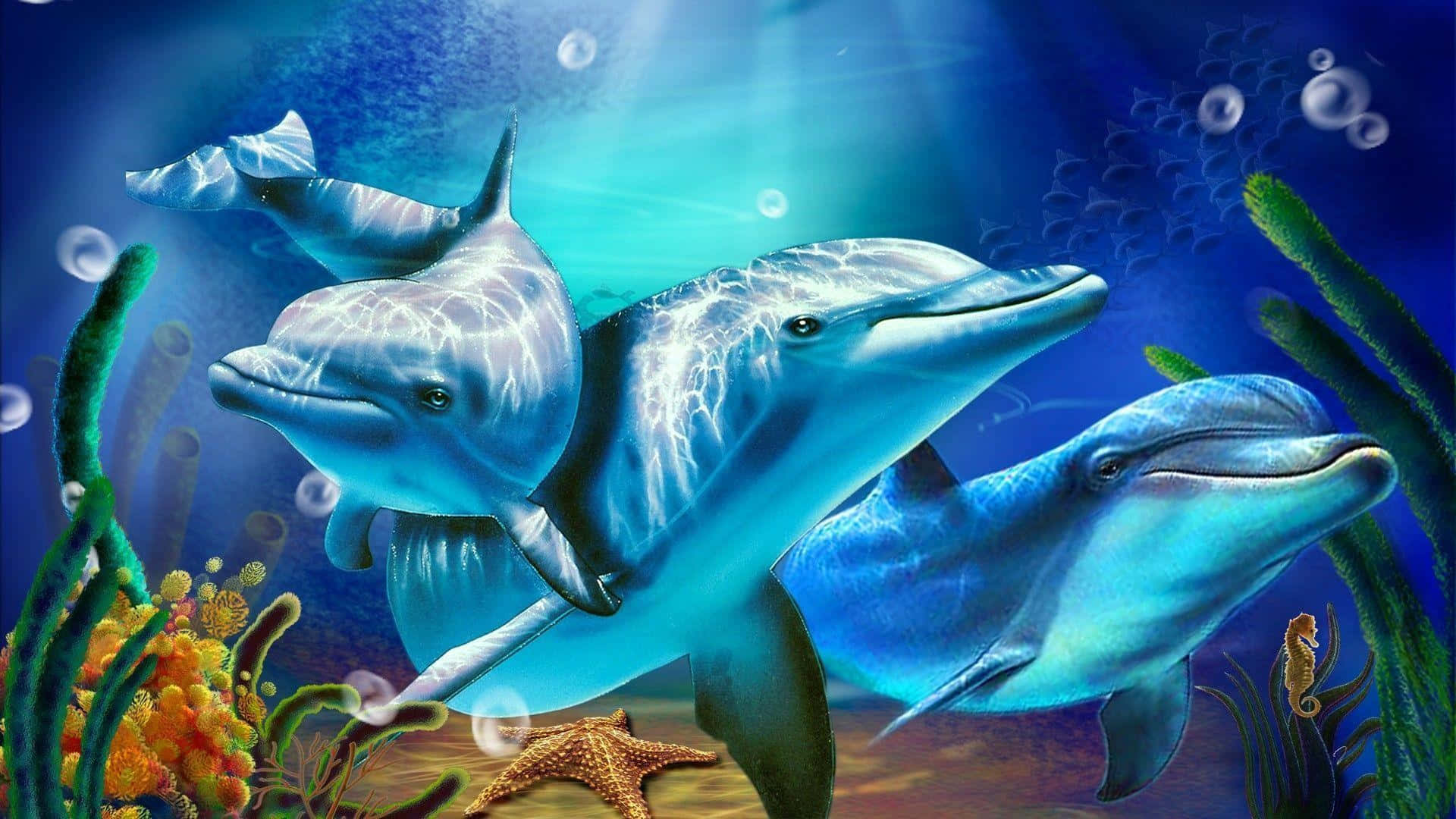 Sød Dobbeltdigitalt Delfin Billede Tapet