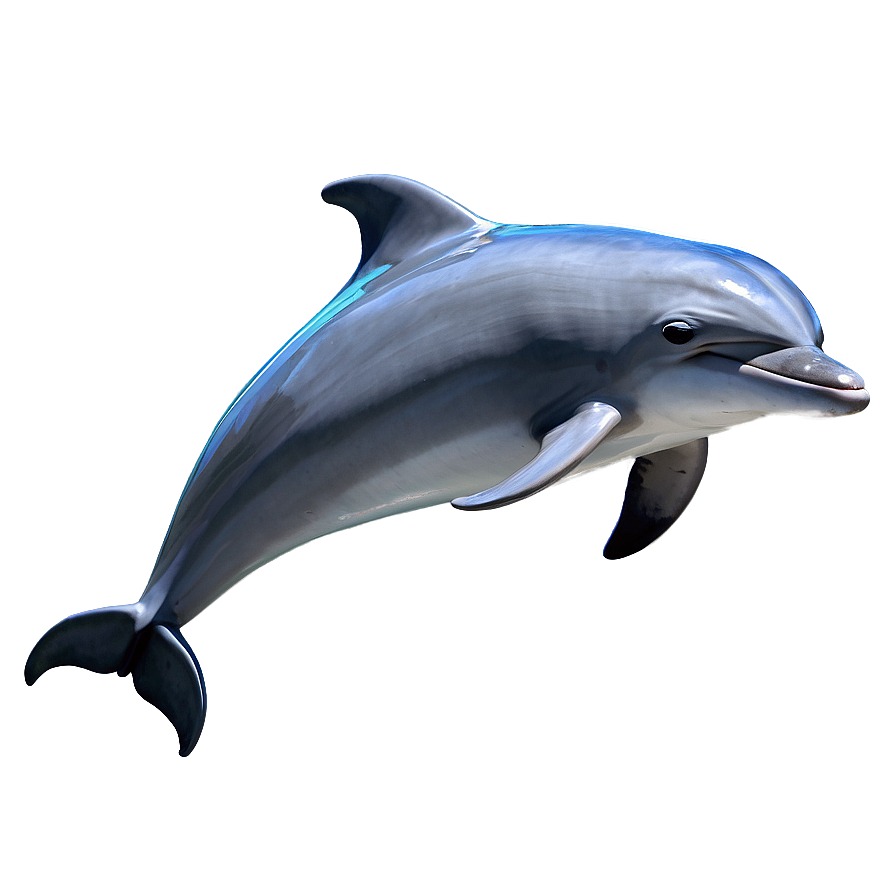 Cute Dolphin Png Fol PNG
